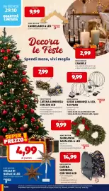 Volantino ALDI | ALDI Offerte da Lunedi 26 Ottobre Pagina 28: Home Creation catena luminosa con 1000 led €14,99