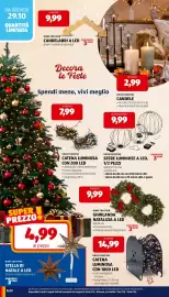 Volantino ALDI | ALDI Offerte da Lunedi 26 Ottobre Pagina 28: Home Creation catena luminosa con 1000 led €14,99