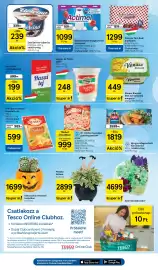 Tesco akciós újság hét 43 Oldal 5: Zott belriso tejberizs €239,00, Iglo gyorsfagyasztott halrudacska €1.819,00