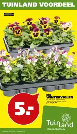 Tuinland folder Pagina 1: TUINLAND VOORDEEL potmaat 9 cm hoogte 10 cm 8 OP=OP 5.- WINTERVIOLEN VIOLA groot- of kleinbloemig