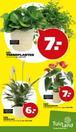 Tuinland folder Pagina 2: Trendplanten €7,00, LAKANTHURIUM €7,00