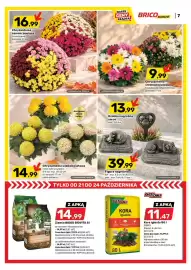 Bricomarche gazetka Strona 8: Chryzantema wielkokwiatowa €14,99, Kora iglasta GO/ON! €11,47