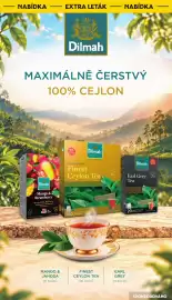 Albert leták týden 43 Strana 8: NABÍDKA - EXTRA LETÁK NABÍDKA Since FOR LOVERS OF TEA 1985 Dilmah MAXIMÁLNĚ ČERSTVÝ 100%