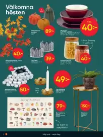 DollarStore annonsblad vecka 43 Sida 4: Dekorations-pumpor €89,00, Porslin Kotikulta €40,00
