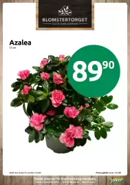 Joker kundeavis uke 43 Side 10: Azalea €89,90