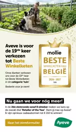AVEVE folder Pagina 29