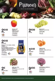 Catalogue Monop' page 9: Les Idéales salade rissolée vapeur €2,48, Chrysanthème Multifleur €9,95
