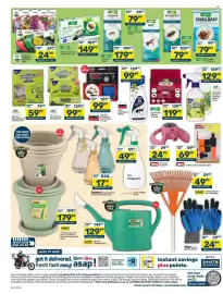 Pick n Pay catalogue Page 4: Starke Ayres Flower or Vegetable Seed Pack €24,99, Garden Pro 1 Litre Trigger Spray €49,99