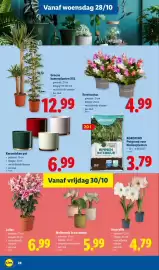 Lidl folder week 44 Pagina 28: Agrofino potgrond voor binnenplanten €3,79, Keramieken pot €6,99