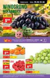 Biedronka gazetka | Codziennie niskie ceny Strona 23: Malina €7,99, Mandarynka €5,99