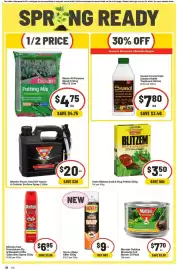 IGA catalogue week 43 Page 33