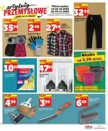 Topaz Express gazetka tydzień 43 Strona 31: Firana gotowa €47,99, Ścierka Actifibre do szyb Vileda €10,49