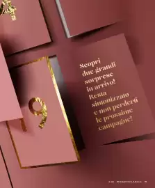 Catalogo Cristian Lay Pagina 11