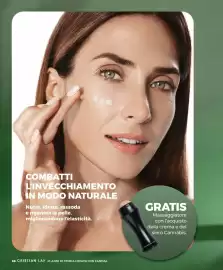 Catalogo Cristian Lay Pagina 66