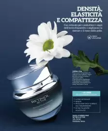 Catalogo Cristian Lay Pagina 7