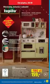 Lidl gazetka tydzień 43 Strona 45