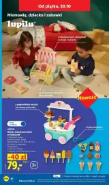 Lidl gazetka tydzień 43 Strona 46