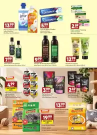 Avita gazetka Strona 6: Karma dla psa Rafi €3,99, Szampon do włosów Barwa Ziołowa €9,99