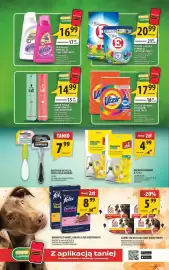 Arhelan gazetka Strona 17: Proszek, kapsułki do prania E €20,99, Proszek do prania Vizir Kolor, Alpine Fresh €17,99