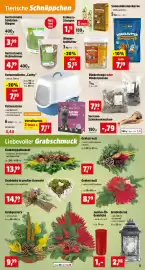Thomas Philipps Prospekt woche 43 Seite 11: Grablaterne €2,98, Vogelfutter Fettfutter €5,55