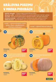 Makro leták Strana 3: Dýně špagetová €59,90, DÝNĚ BABYBEAR €59,90