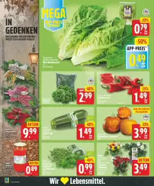 EDEKA Wucherpfennig Prospekt woche 43 Seite 4: EDEKA Bio Rucola-, Feld-, Pflicksalat oder Blattspinat €0,99