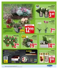 Zentralmarkt tilbudsavis uge 43 Side 6