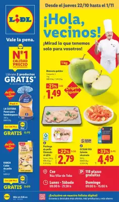 Catálogo Lidl