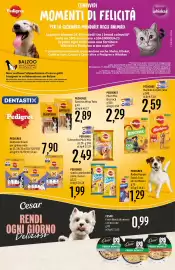 Volantino Emisfero Pagina 16: Pedigree Dentastix Snack per igiene orale €7,90, Pedigree snack cane Rodeo €1,99