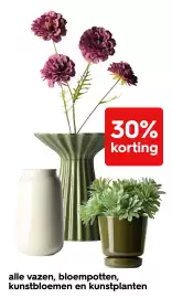 HEMA Flugblatt woche 43 Seite 21: Alle vazen, bloempotten, kunstbloemen en kunstplanten