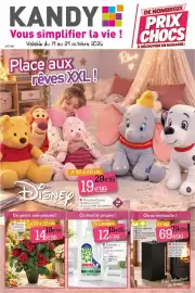 Catalogue Kandy page 1: Réservoir à granulés et pellets €69,00, ARIEL Lessive liquide €12,99