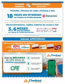 Folleto Chedraui Página 19