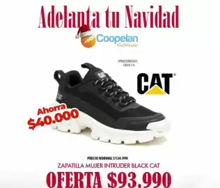 Catálogo Coopelan Página 2: Cat - zapatilla mujer intruder black €93.990,00