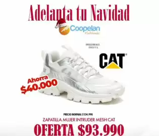 Catálogo Coopelan Página 4: Cat - zapatilla mujer intruder mesh €93.990,00