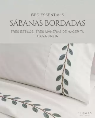 Plumas (válido hasta 1-11)
