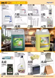 Volantino Big Food Pagina 65