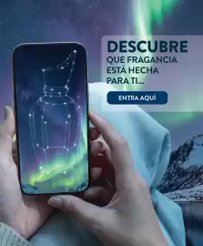 Catálogo Cristian Lay Página 89