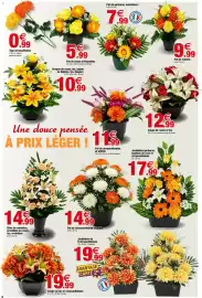 Catalogue Bazarland page 8: Jardinière gerberas, boutons de rose et chrysanthèmes €17,99, Pot de gerberas, mini-fleurs €7,99