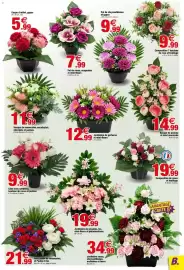 Catalogue Bazarland page 9: Jardinière de pivoines, lys, mini-fleurs et philodendrons €19,99, Coupe d'œillet, gypsyo €5,99