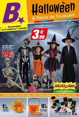 Catalogue Bazarland (valable jusqu'au 1-11)