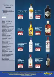 Bilgro Prospekt Seite 6