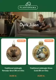 Plantorama tilbudsavis Side 4: PLANTORAMA Dyrk Julen 6 FOR 100,- 6 FOR 100,- Traditionel julekugle Rensdyr Brun 08 cm Glas