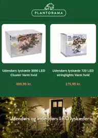 Plantorama tilbudsavis Side 5: Cluster Udendørs lyskæde 3000 LED Varm hvid €499,95