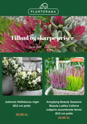 Plantorama (gælder indtil 31-10)