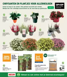 GAMMA folder Pagina 10: Sierschors €11,19, Helleborus christmas carol €4,99