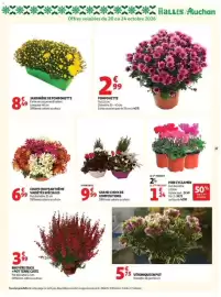 Auchan folder week 43 Pagina 37
