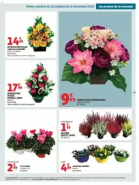 Auchan folder week 43 Pagina 59