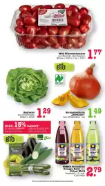Scheck-in-Center Prospekt woche 43 Seite 25