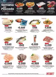 Catálogo Coto semana 43 Página 1: Filet de gatuza congelado, cod. 28470 €1.699,00, Boga eviscerada congelada €949,00