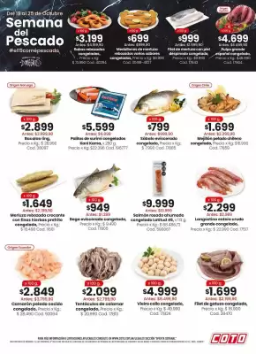 Coto (válido hasta 25-10)